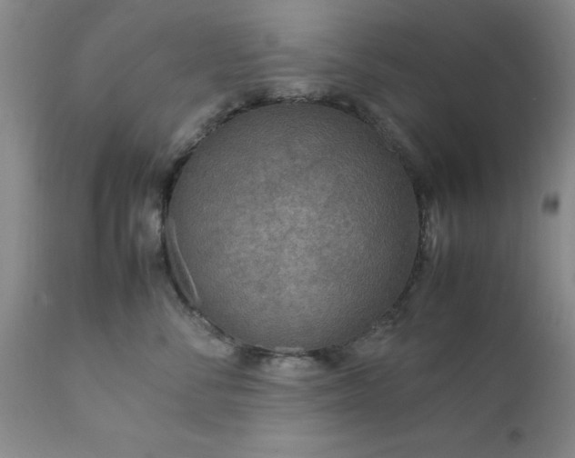 X0000111810716200907301233