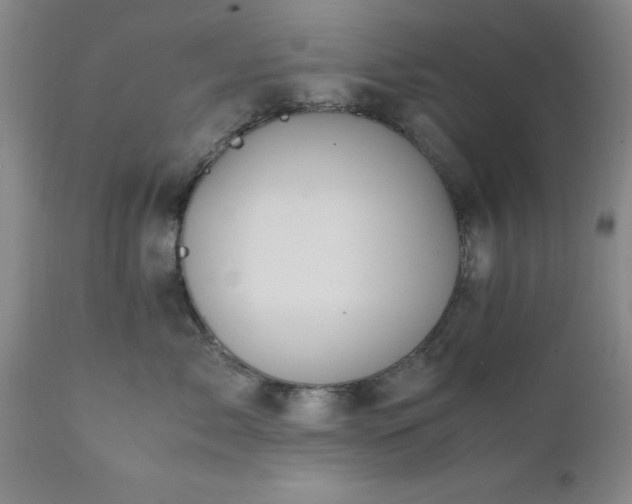 X0000111810717200907301233