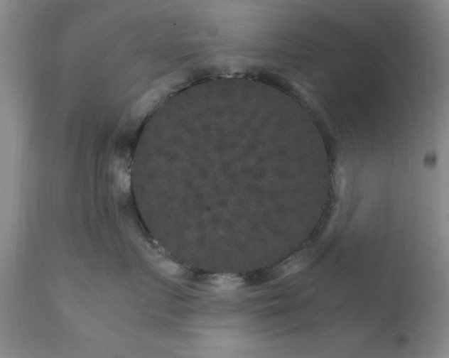 X0000111810719200907301233