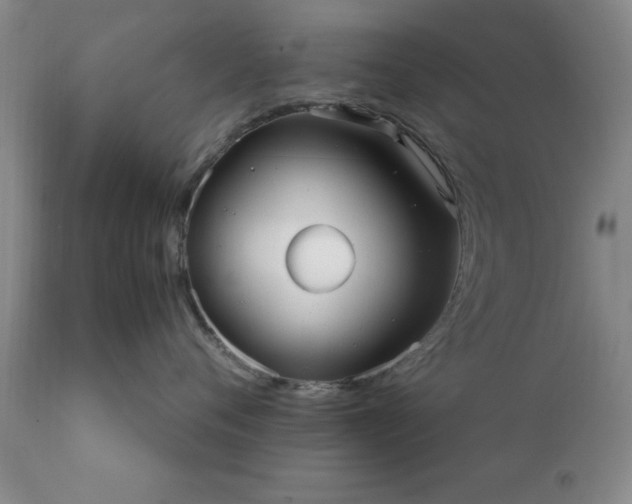 X0000111810720200907301233