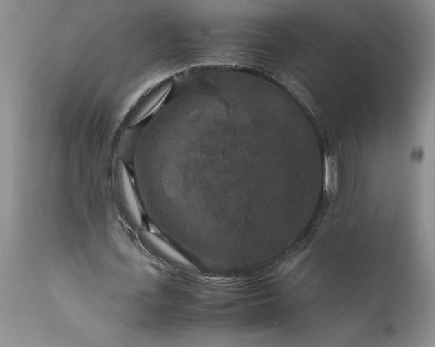 X0000111810723200907301232