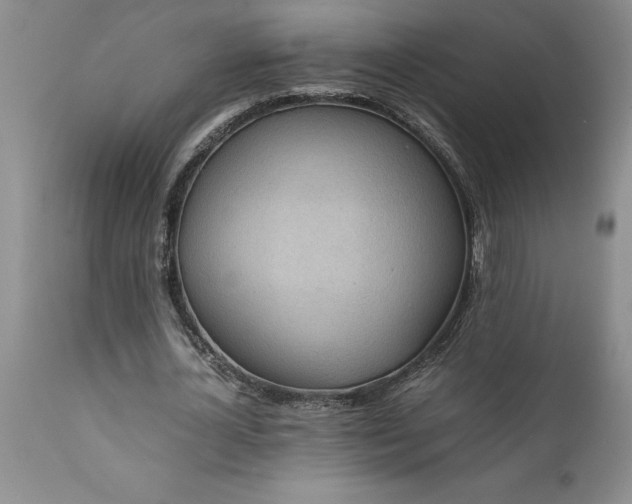 X0000111810724200907301232