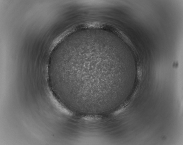 X0000111810725200907301232