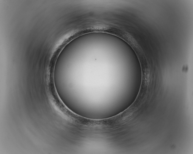 X0000111810726200907301232