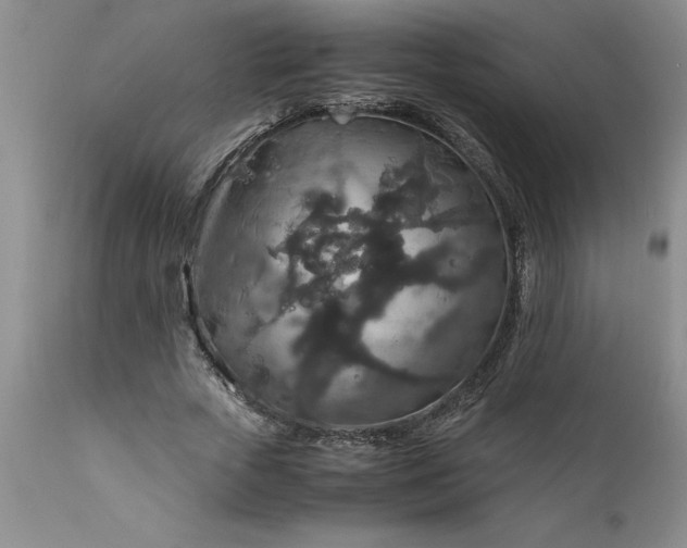 X0000111810729200907301232