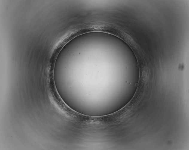 X0000111810730200907301232