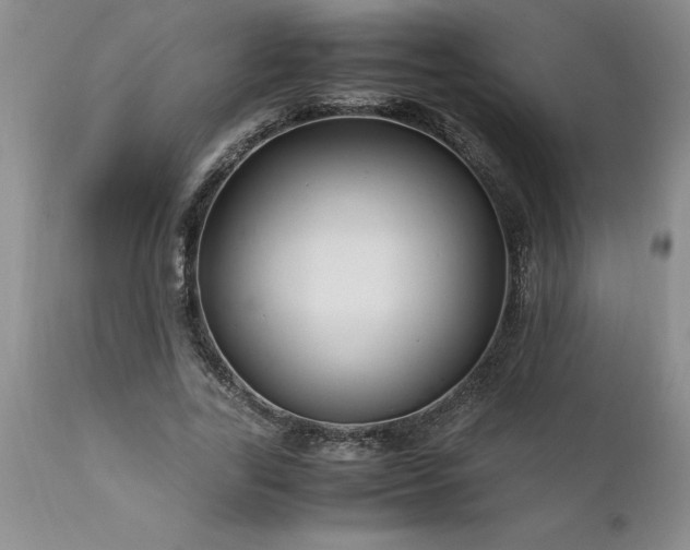 X0000111810731200907301232