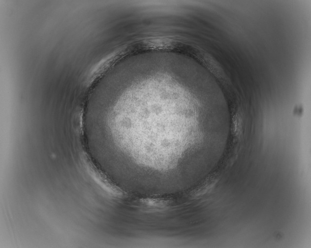 X0000111810733200907301232