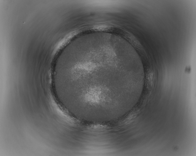 X0000111810734200907301232