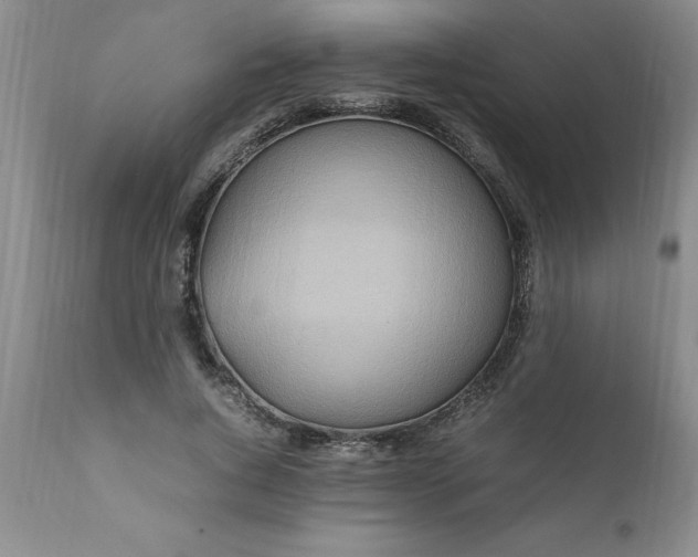 X0000111810736200907301232