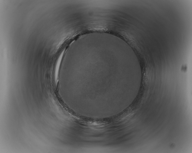 X0000111810739200907301232