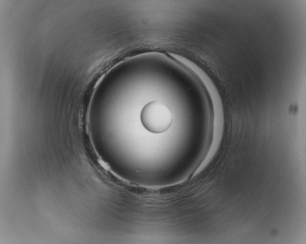 X0000111810740200907301232