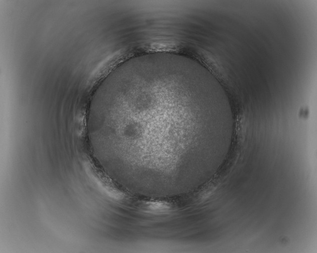 X0000111810741200907301232