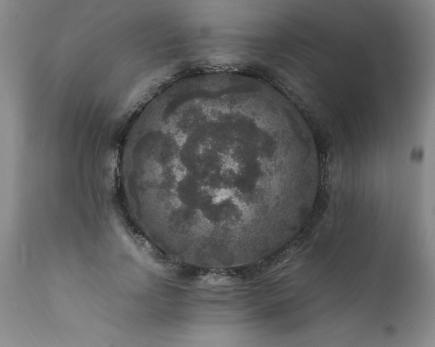 X0000111810742200907301232