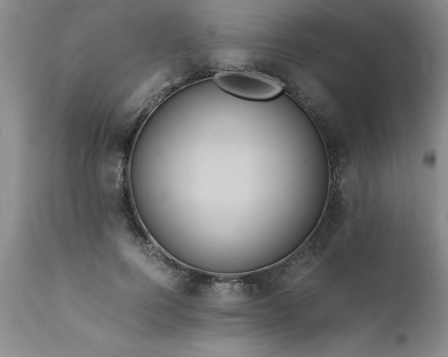 X0000111810744200907301232