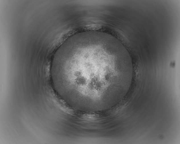 X0000111810745200907301232