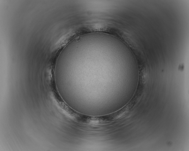 X0000111810746200907301232