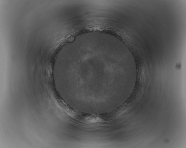 X0000111810747200907301232