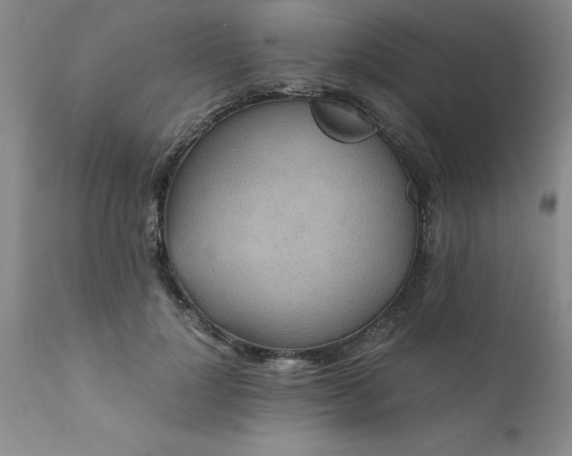 X0000111810748200907301232