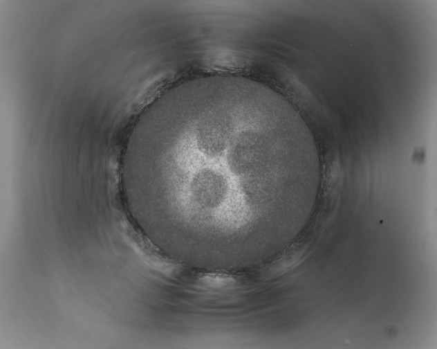 X0000111810749200907301232