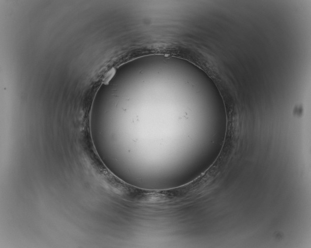 X0000111810750200907301232