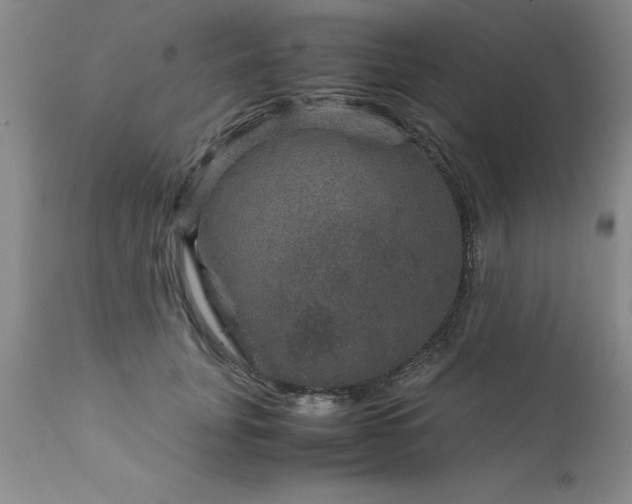 X0000111810751200907301233