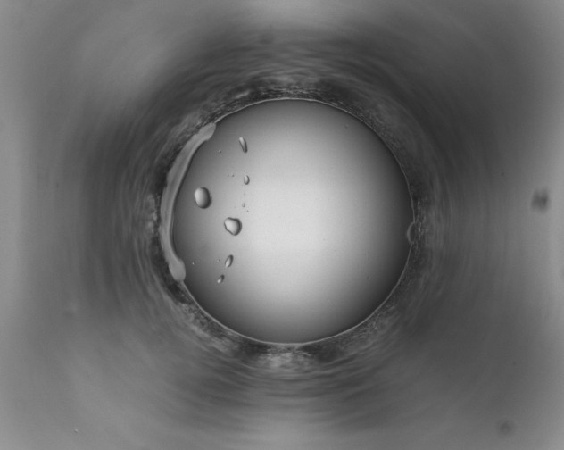 X0000111810752200907301233