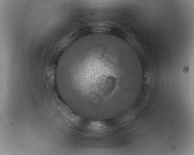 X0000111810753200907301233