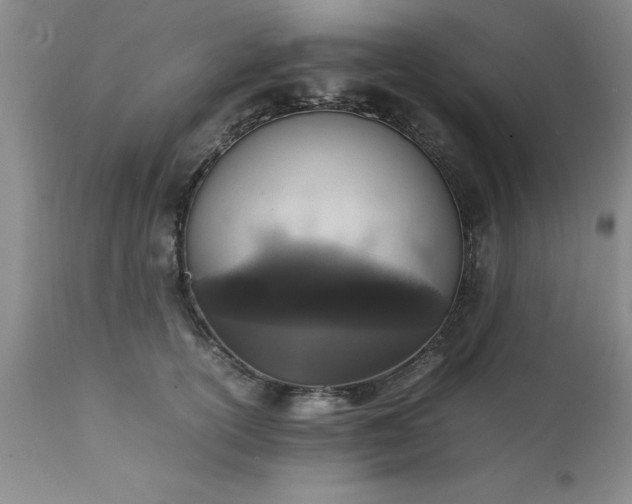 X0000111810754200907301233
