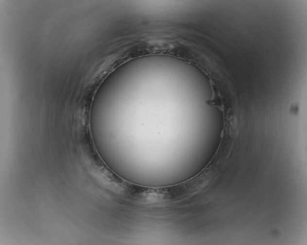 X0000111810756200907301233