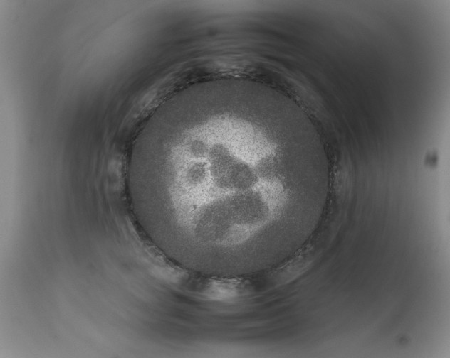 X0000111810757200907301233