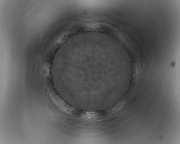 X0000111810758200907301233