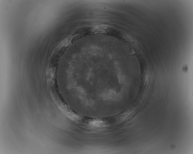 X0000111810759200907301233