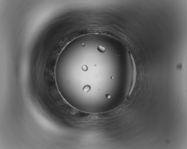 X0000111810764200907301233