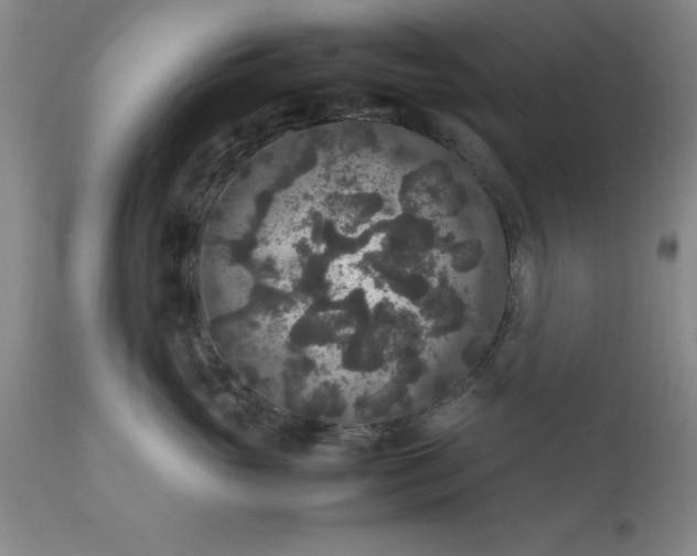 X0000111810765200907301233