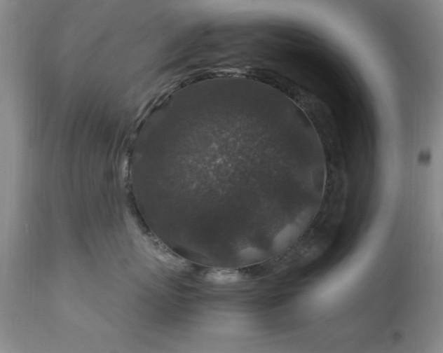 X0000111810767200907301233