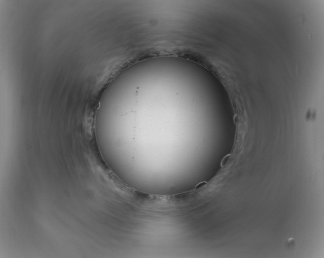 X0000111810768200907301233