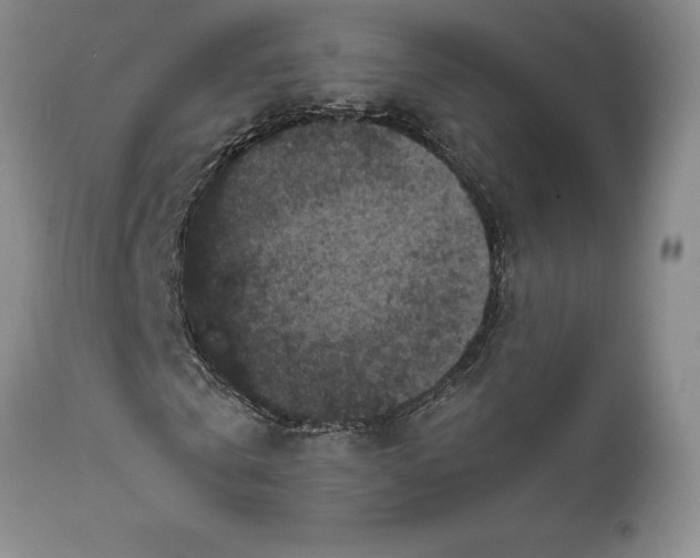 X0000111810769200907301232
