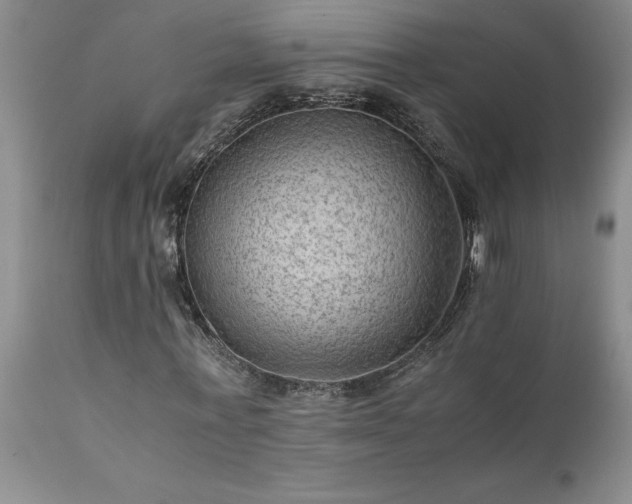 X0000111810771200907301232