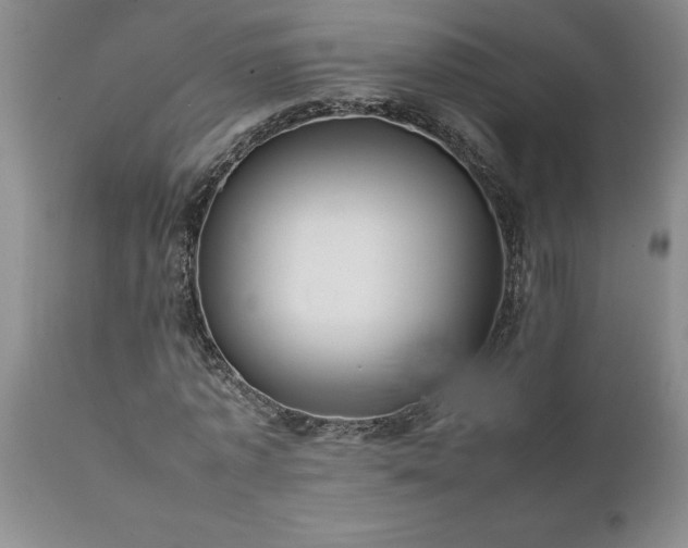 X0000111810773200907301232