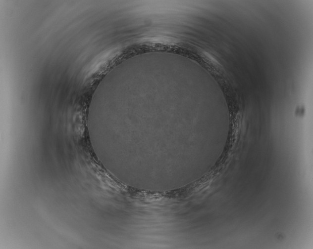 X0000111810774200907301232