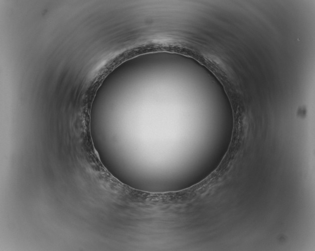X0000111810776200907301232