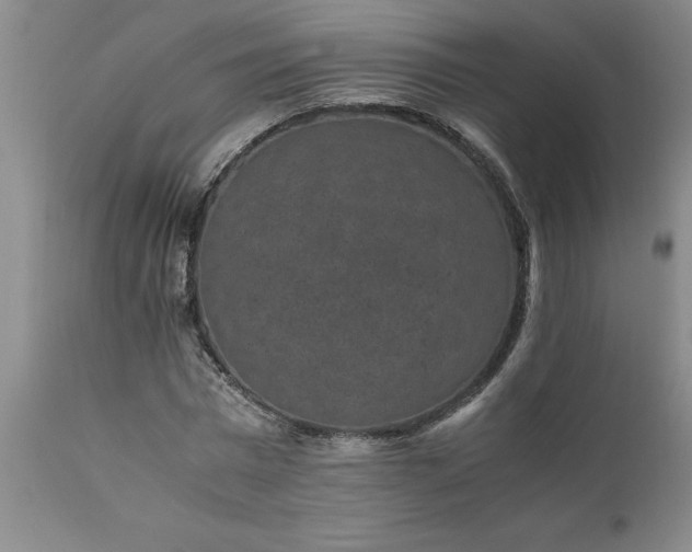X0000111810777200907301232