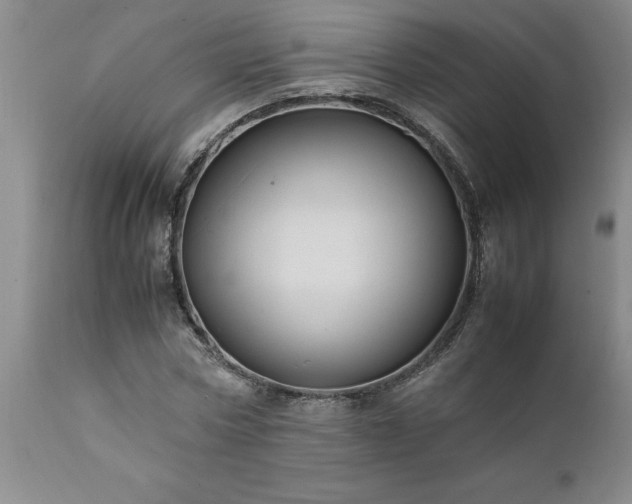 X0000111810778200907301232