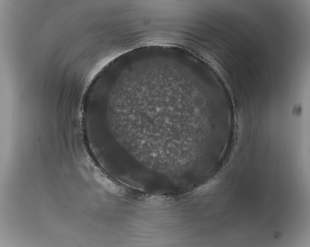 X0000111810779200907301232