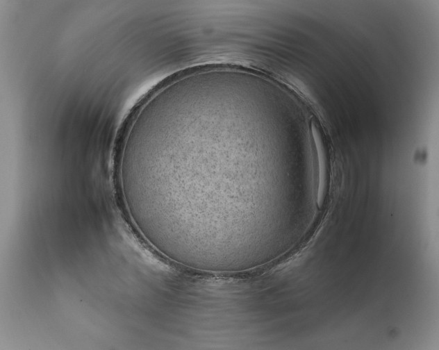X0000111810780200907301232