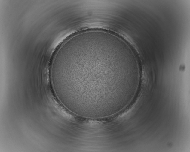 X0000111810782200907301232
