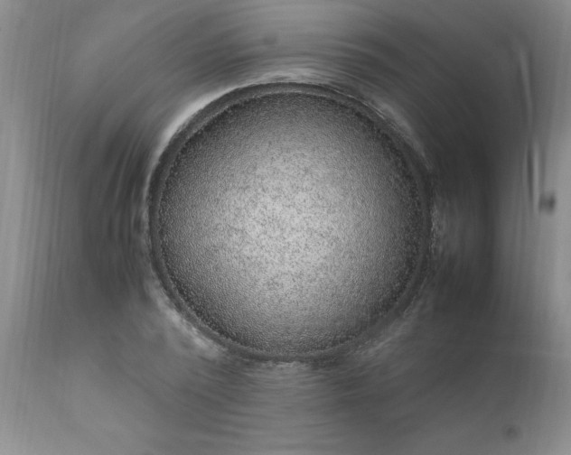X0000111810784200907301232