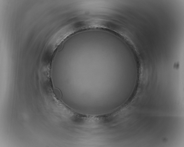 X0000111810785200907301232