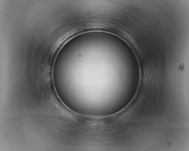 X0000111810786200907301232